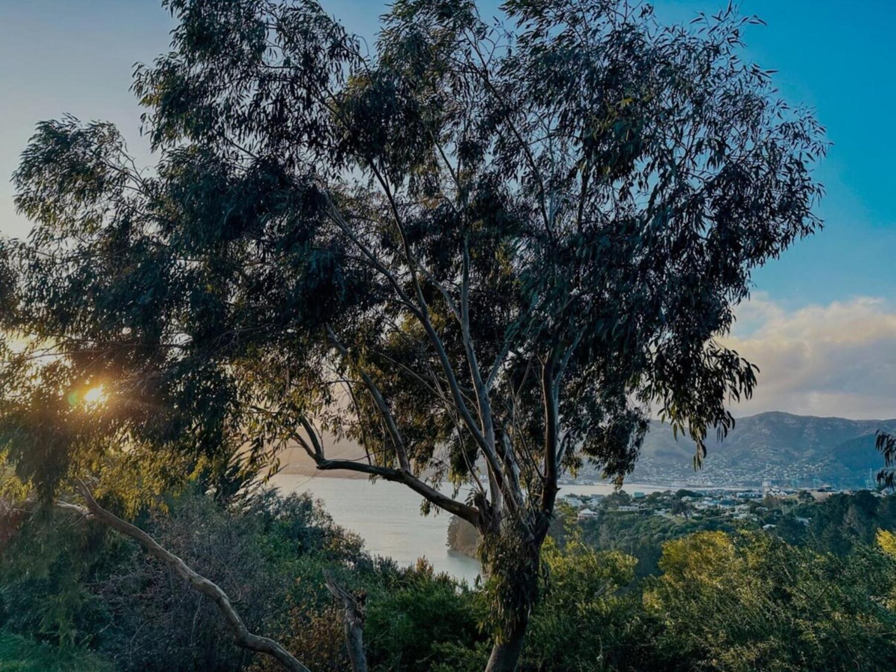 The Outlook By Tiny Away Villa Diamond Harbour Luaran gambar